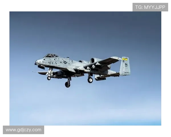 战斗机先进机翼的柔性控制技术